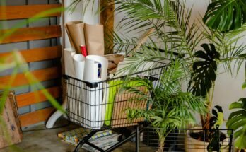 Sustainable Home Improvement Project for Green Living