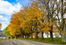 Seasonal Travel Guide: Best Time to Experience Natural Beauty in Canada