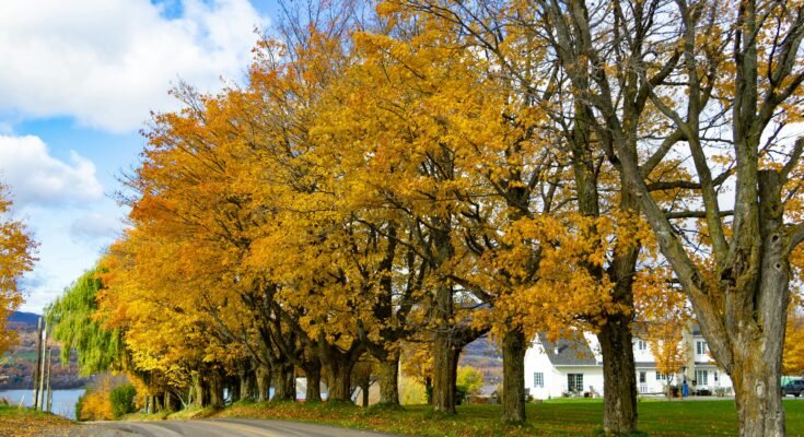 Seasonal Travel Guide: Best Time to Experience Natural Beauty in Canada