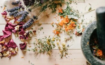 What Are the 7 Components of Health and Wellness?