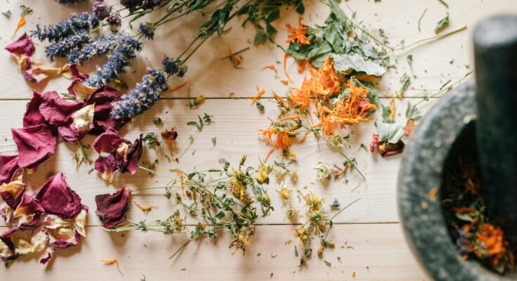What Are the 7 Components of Health and Wellness?